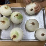 玉ねぎ皮むき