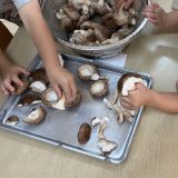 しいたけ軸取り