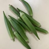 おくらの収穫