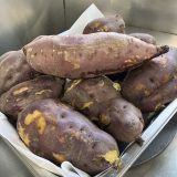 今日のおやつは【焼き芋】！