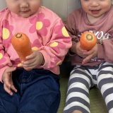 にんじんを触ってみよう