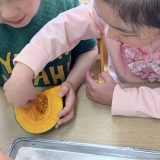 かぼちゃの種とり