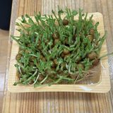 リボーンベジタブル
