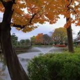 秋におすすめの公園紹介