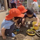 園見学のお知らせ