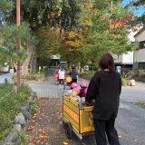 ひよこ組の秋探し🍁