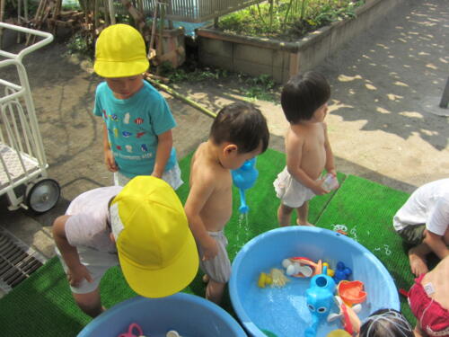 IMG 0653