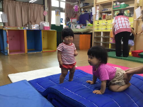 IMG 0800 (1) (1) (1)