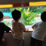 子どもたちの窓