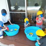 7月　保育所体験