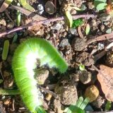 空の鳥保育園のお客様